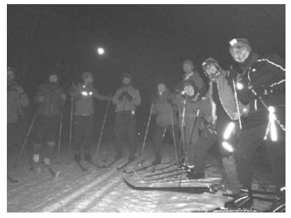Moonlight skiers
