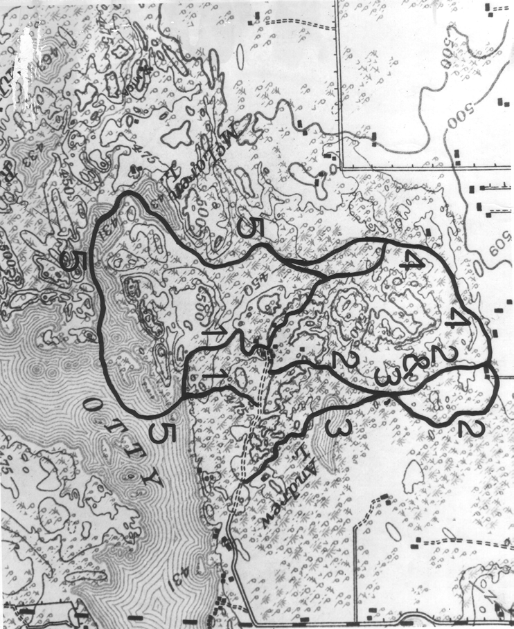Trail network in the 70's at the Lightford property; now known as Burgess Wood.