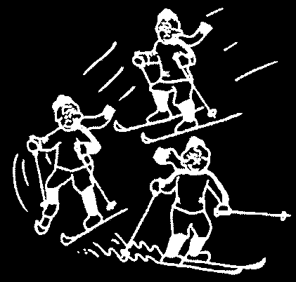 One Step Double Poling technique diagram