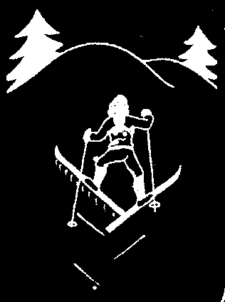 One Skate technique diagram